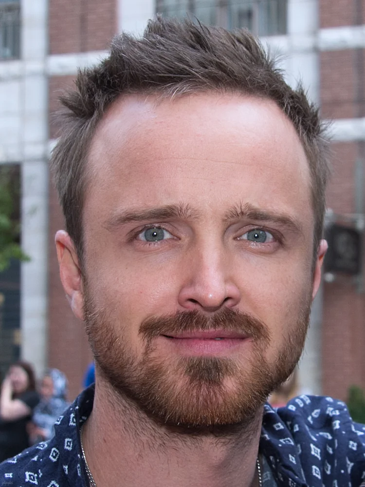 Aaron Paul portrait