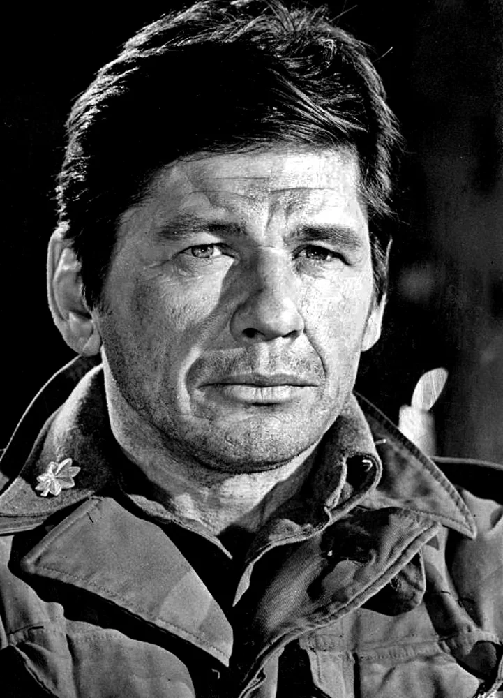 Charles Bronson portrait