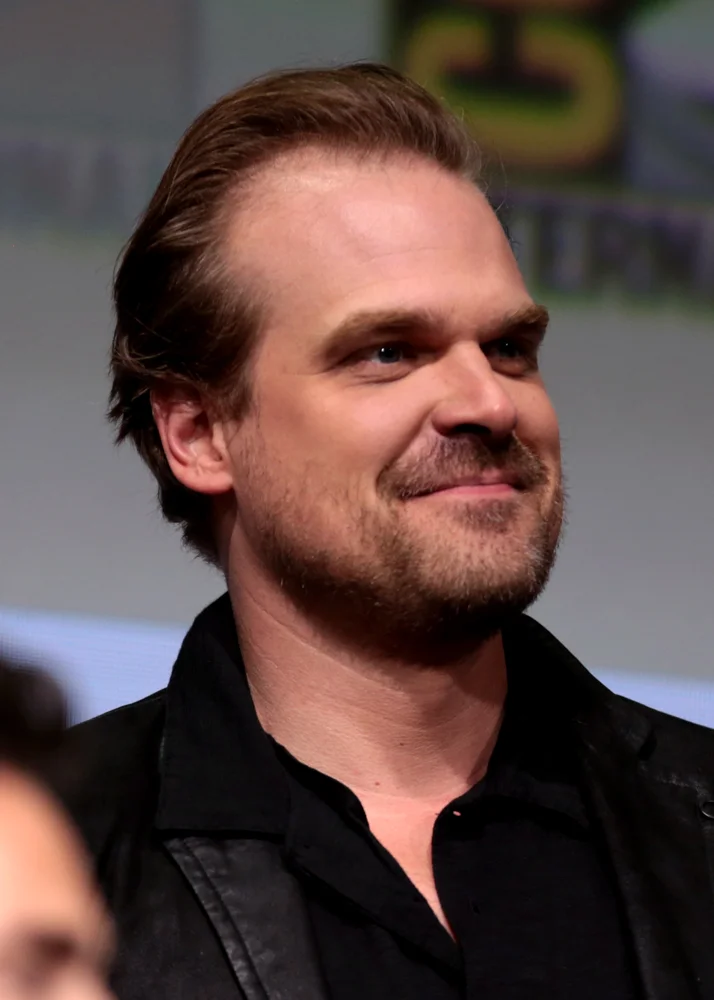 David Harbour portrait