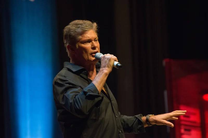 David Hasselhoff portrait