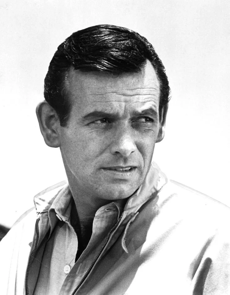 David Janssen portrait