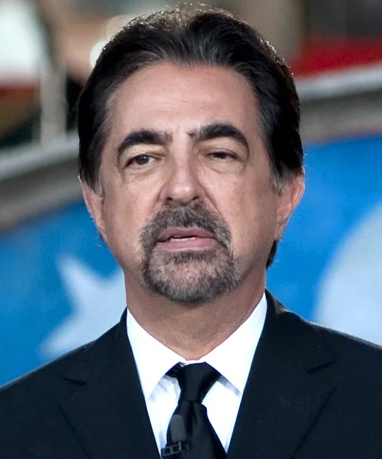 Joe Mantegna portrait