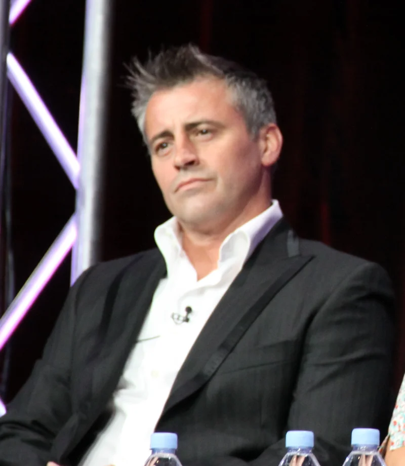 Matt LeBlanc portrait