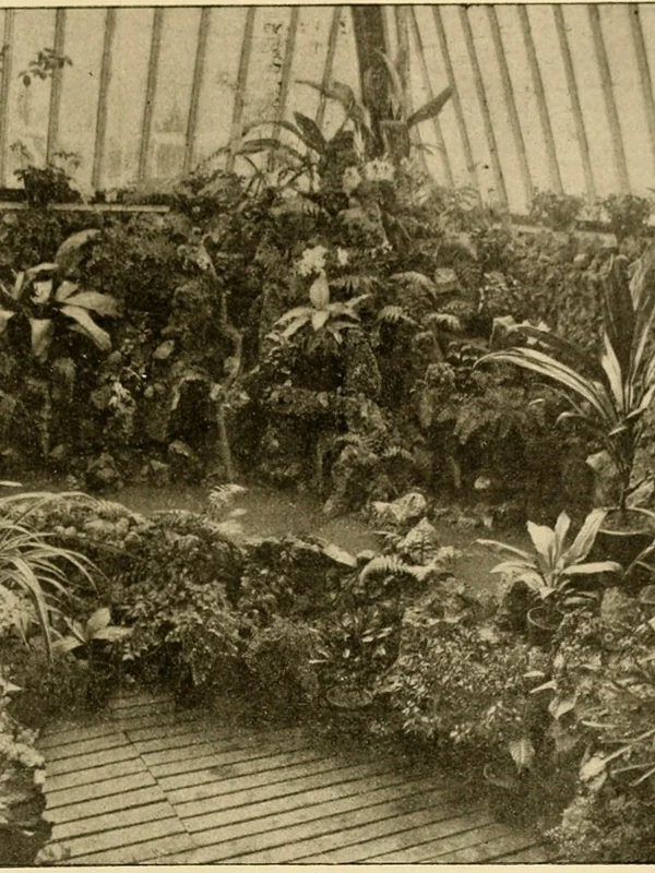 Artificial Silk Improvements