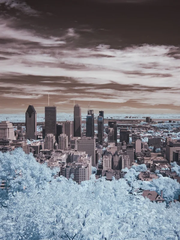 Infrared Photography