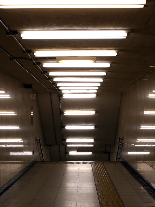 Fluorescent Light Commercialization