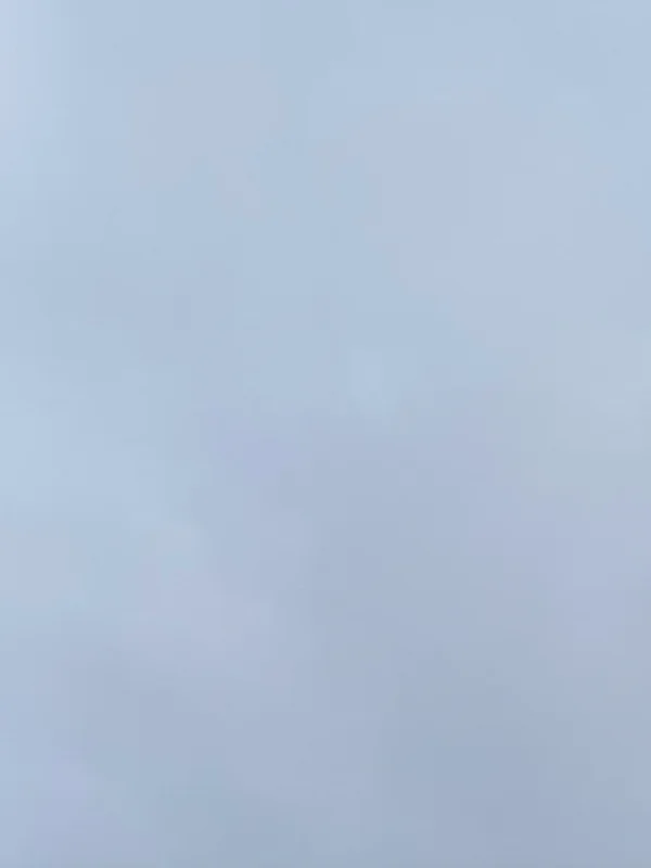 Jet Commercial Airliner