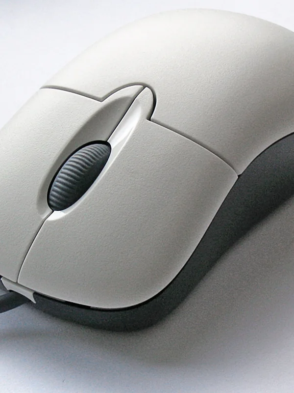 Computer Mouse