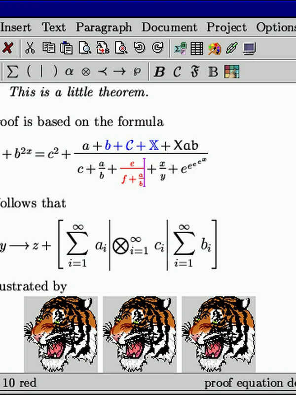 Word Processing Software
