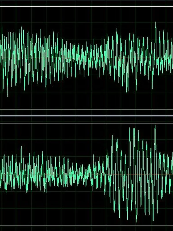 Digital Music Sampling