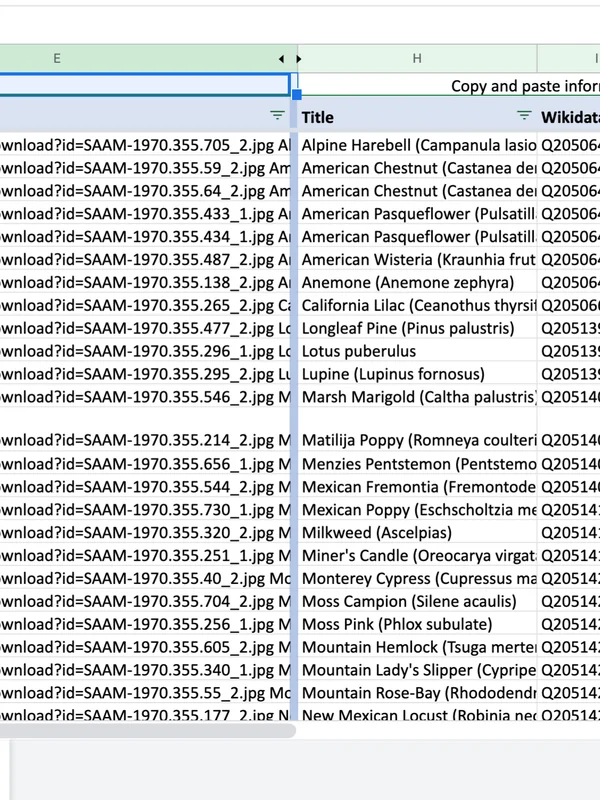 Electronic Spreadsheet Software