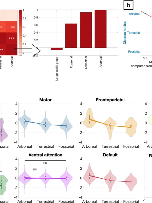Local Area Network Expansion