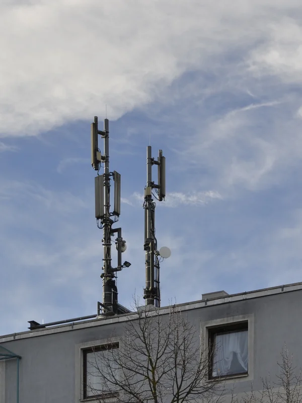 Digital Mobile Phone Networks