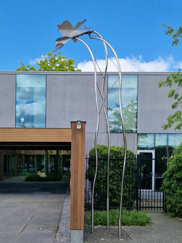 Peer-to-Peer File Sharing