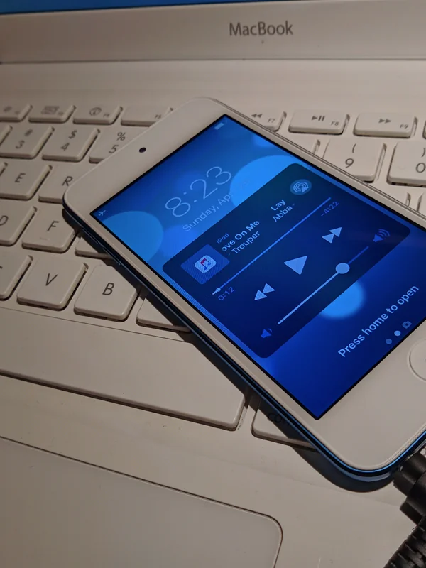 Portable Music Player (iPod)