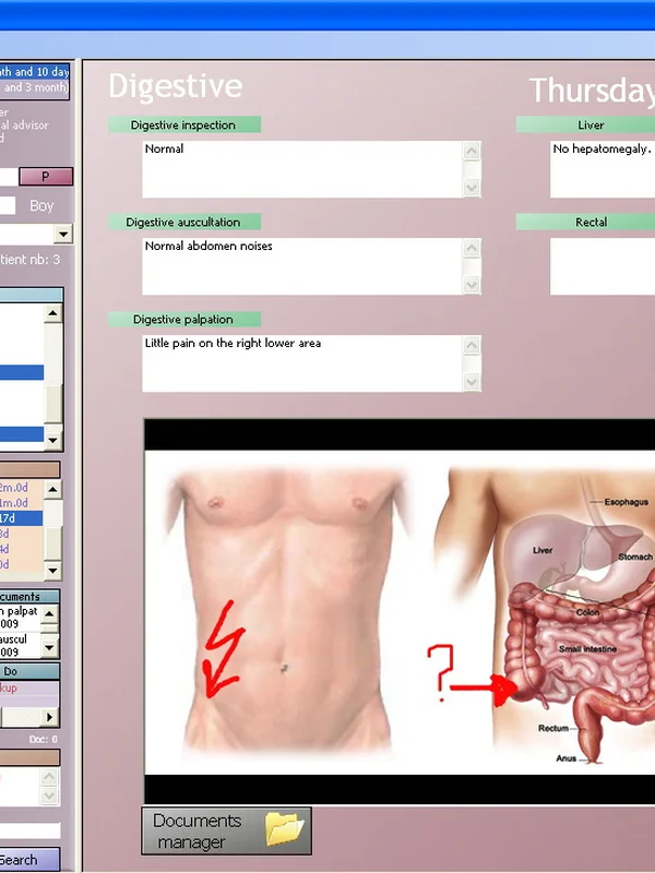 Medical Electronic Health Records