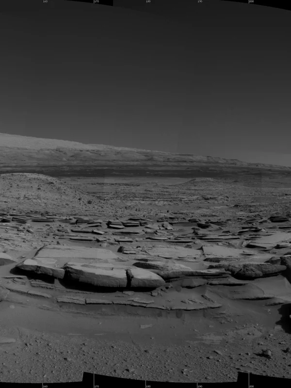 Online Map Navigation (Google Maps)