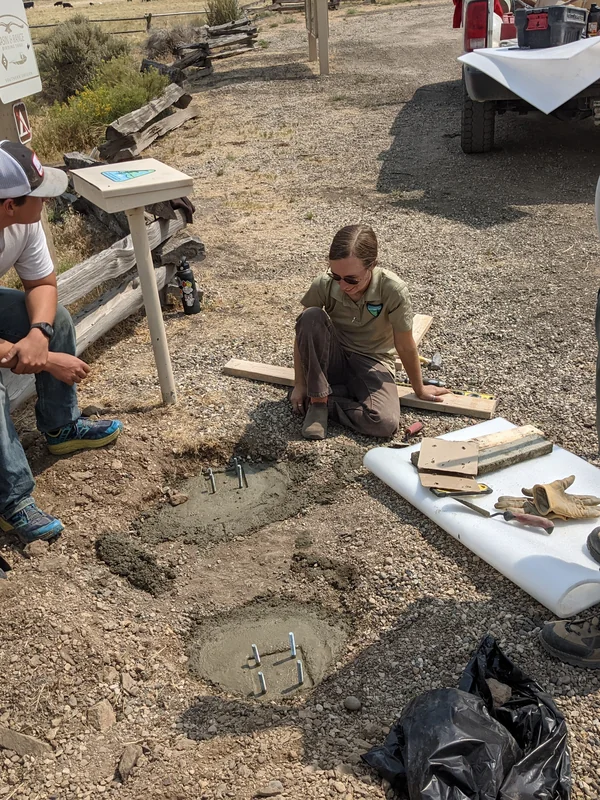 Online Collaboration Tools