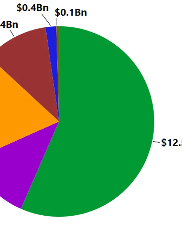 Online Video Monetization