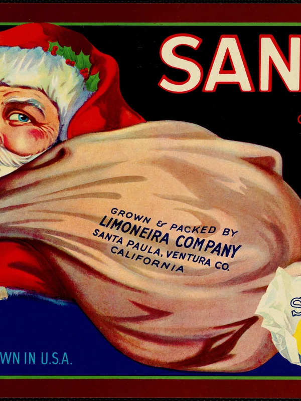 Social Media Advertising