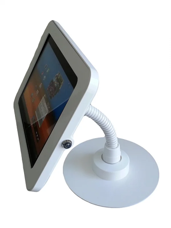 Tablet Computer (iPad)