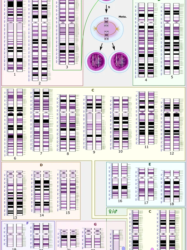 Genome Sequencing Cost Reduction