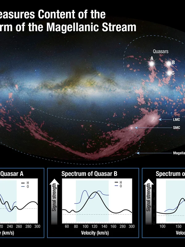 Online Video Streaming Original Content
