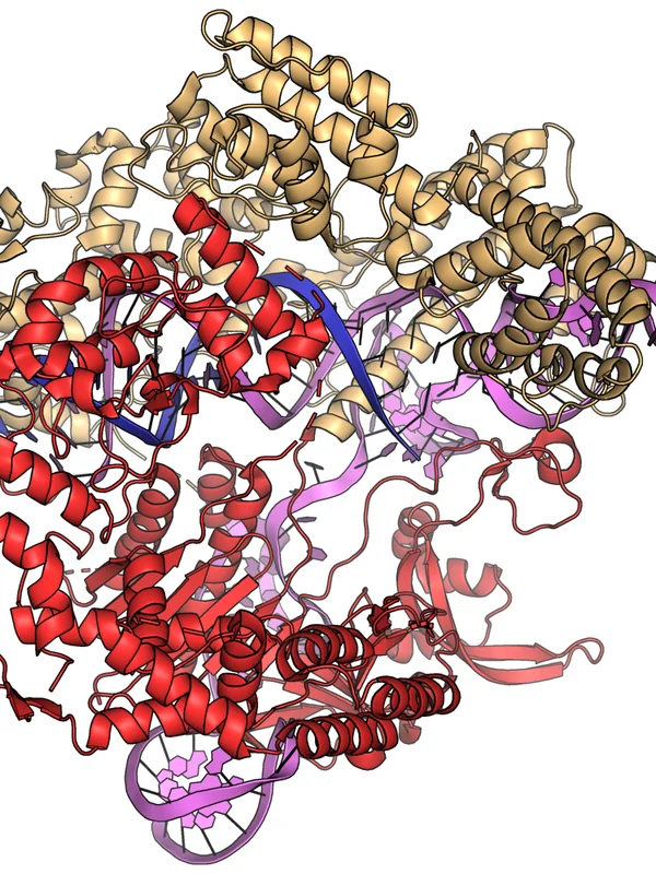 Medical Genomic Editing Refinement