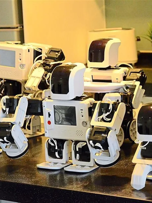 Autonomous Construction Robots