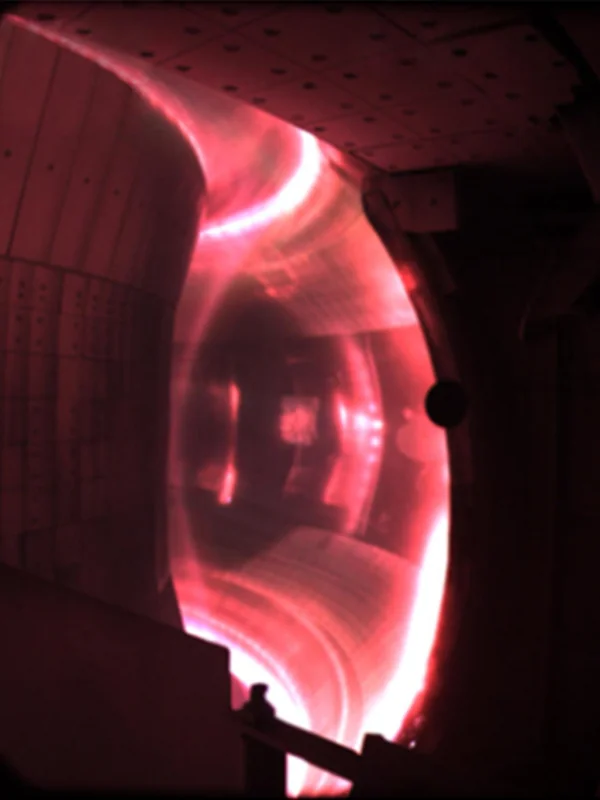 Commercial Fusion Energy Pilot