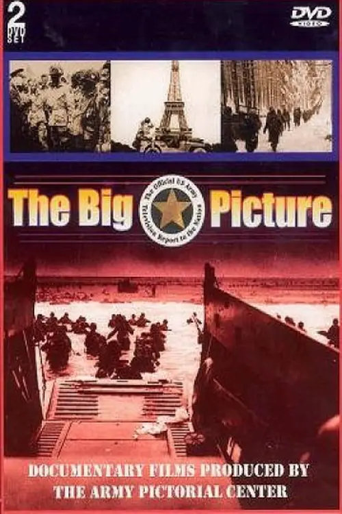 The Big Picture poster