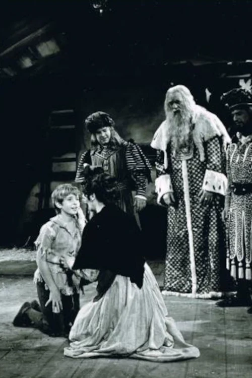 Matinee Theater poster